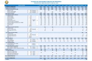PRESUPUESTO ANUAL PROYECTADO AÑO 2026 (3)_page-0001