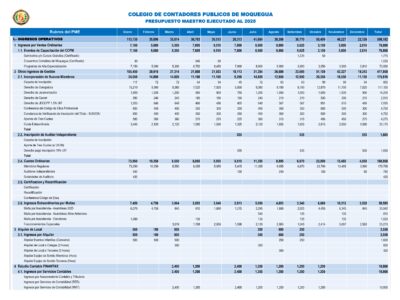 PRESUPUESTO EJECUTADO 2025 CCPM