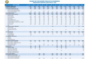 0.- Presupuesto Ejecutado 2025 – CCP Moquegua_page-0001