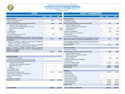 ESTADOS FINANCIEROS DEL PERIODO 2025