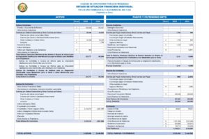 1.- Estado de Situación Financiera_pages-to-jpg-0001