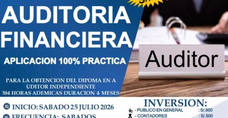 Auditoria Financiera